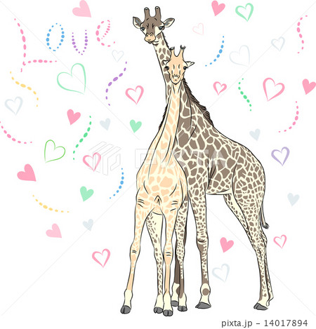Vector Funny couple in love giraffes Vector Funny couple in love giraffes 14017894