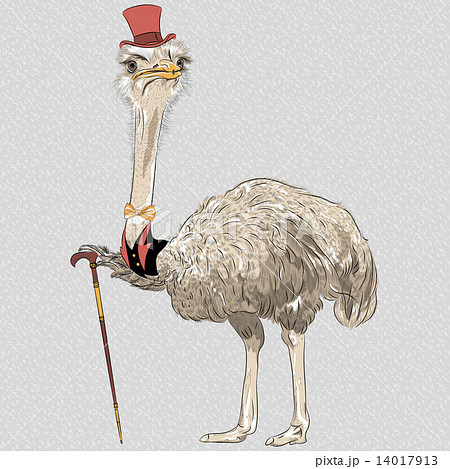 vector funny Ostrich Bird hipster - Stock Illustration [14017913] - PIXTA