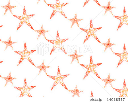 ヒトデ フレーム 枠 海星 人手 海星 人手 海の生物 星型 星形 星 模様 イラスト 水彩 のイラスト素材