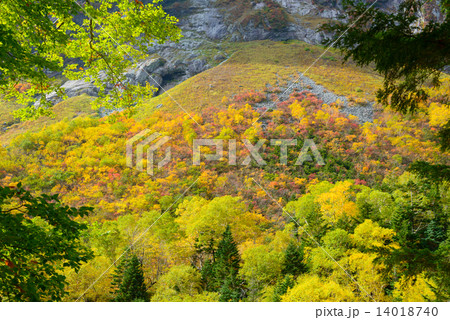 北アルプス 穂高連峰 涸沢カールの紅葉 北アルプス 穂高連峰 涸沢カールの紅葉 14018740