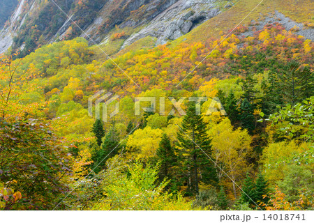 北アルプス 穂高連峰 涸沢カールの紅葉 北アルプス 穂高連峰 涸沢カールの紅葉 14018741