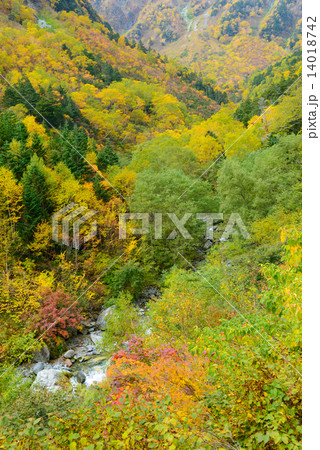 北アルプス 穂高連峰 涸沢カールの紅葉 北アルプス 穂高連峰 涸沢カールの紅葉 14018742