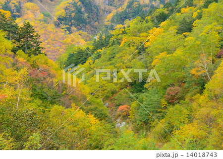 北アルプス 穂高連峰 涸沢カールの紅葉 北アルプス 穂高連峰 涸沢カールの紅葉 14018743