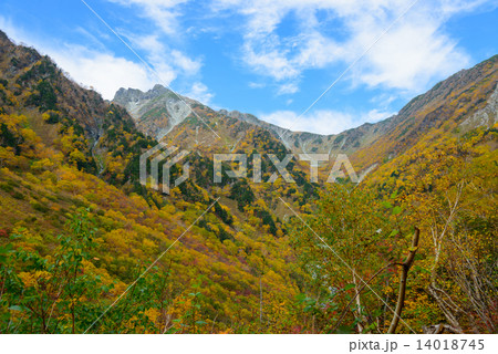 北アルプス 穂高連峰 涸沢カールの紅葉 北アルプス 穂高連峰 涸沢カールの紅葉 14018745