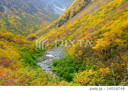 北アルプス 穂高連峰 涸沢カールの紅葉 北アルプス 穂高連峰 涸沢カールの紅葉 14018748