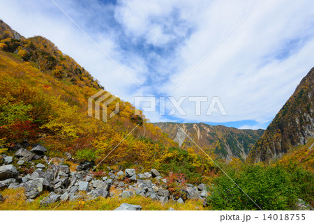 北アルプス 穂高連峰 涸沢カールの紅葉 北アルプス 穂高連峰 涸沢カールの紅葉 14018755