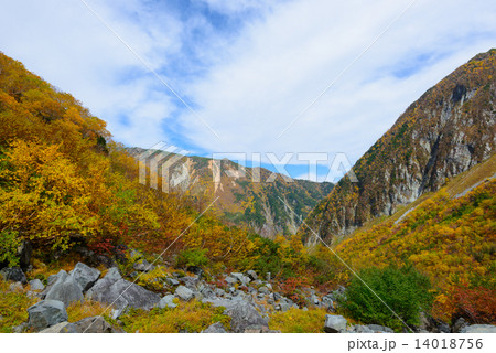 北アルプス 穂高連峰 涸沢カールの紅葉 北アルプス 穂高連峰 涸沢カールの紅葉 14018756