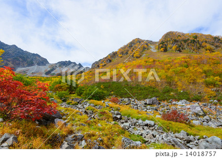 北アルプス 穂高連峰 涸沢カールの紅葉 北アルプス 穂高連峰 涸沢カールの紅葉 14018757