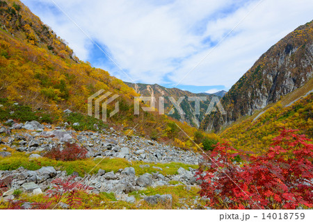 北アルプス 穂高連峰 涸沢カールの紅葉 北アルプス 穂高連峰 涸沢カールの紅葉 14018759
