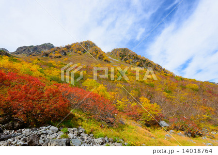 北アルプス 穂高連峰 涸沢カールの紅葉 北アルプス 穂高連峰 涸沢カールの紅葉 14018764