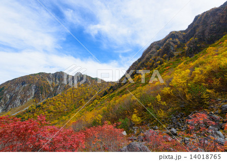北アルプス 穂高連峰 涸沢カールの紅葉 北アルプス 穂高連峰 涸沢カールの紅葉 14018765
