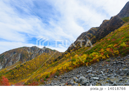 北アルプス 穂高連峰 涸沢カールの紅葉 北アルプス 穂高連峰 涸沢カールの紅葉 14018766