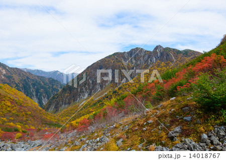 北アルプス 穂高連峰 涸沢カールの紅葉 北アルプス 穂高連峰 涸沢カールの紅葉 14018767