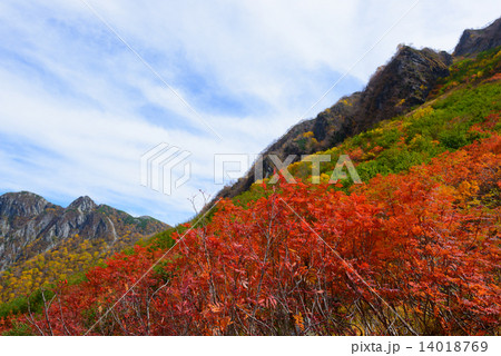 北アルプス 穂高連峰 涸沢カールの紅葉 北アルプス 穂高連峰 涸沢カールの紅葉 14018769