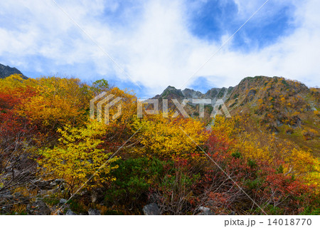 北アルプス　穂高連峰　涸沢カールの紅葉 14018770