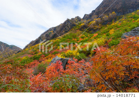 北アルプス 穂高連峰 涸沢カールの紅葉 北アルプス 穂高連峰 涸沢カールの紅葉 14018771