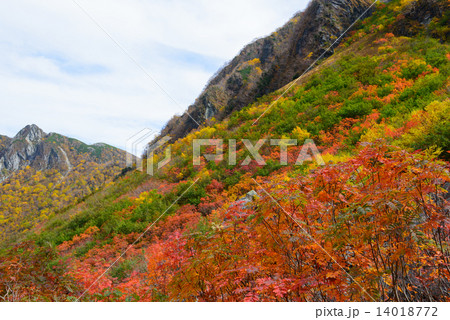 北アルプス 穂高連峰 涸沢カールの紅葉 北アルプス 穂高連峰 涸沢カールの紅葉 14018772