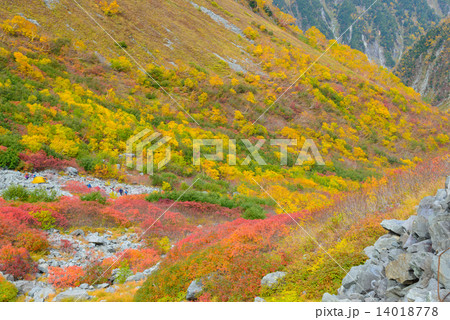 北アルプス 穂高連峰 涸沢カールの紅葉 北アルプス 穂高連峰 涸沢カールの紅葉 14018778