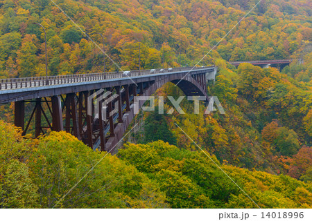 青森 八甲田山麓 城ヶ倉渓谷の紅葉 青森 八甲田山麓 城ヶ倉渓谷の紅葉 14018996