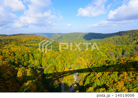 青森　八甲田山麓　城ヶ倉渓谷の紅葉 14019006