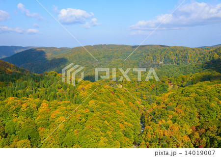 青森　八甲田山麓　城ヶ倉渓谷の紅葉 14019007