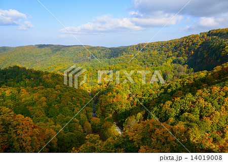 青森　八甲田山麓　城ヶ倉渓谷の紅葉 14019008