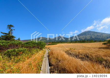 青森 八甲田山 毛無岱の紅葉 青森 八甲田山 毛無岱の紅葉 14019094
