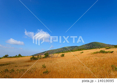 青森 八甲田山 毛無岱の紅葉 青森 八甲田山 毛無岱の紅葉 14019095