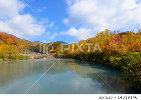 青森　八甲田山　地獄沼の紅葉 14019146