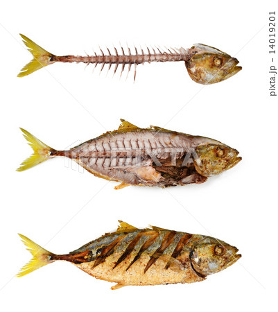 Fishbone Fishbone 14019201