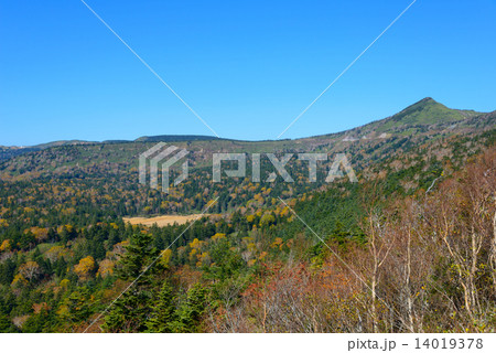 秋の八幡平 14019378