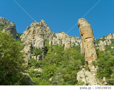 Stony figure 14019850