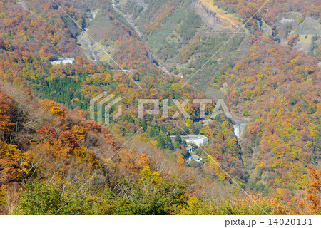 栃木　奥日光　男体山の紅葉 14020131