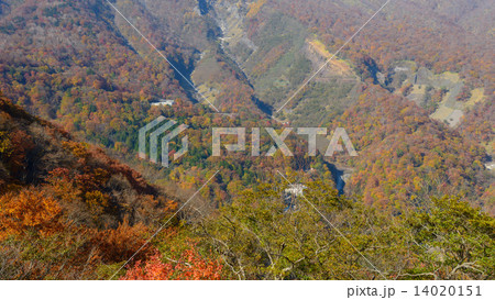 栃木 奥日光 いろは坂の紅葉 栃木 奥日光 いろは坂の紅葉 14020151