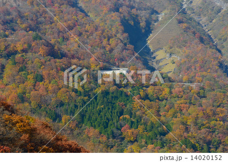栃木 奥日光 いろは坂の紅葉 栃木 奥日光 いろは坂の紅葉 14020152