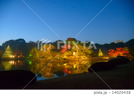 東京　駒込　六義園の紅葉 14020438