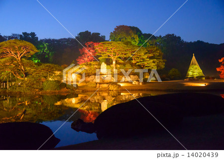 東京　駒込　六義園の紅葉 14020439