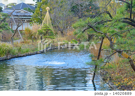 東京　秋の向島百花園 14020889