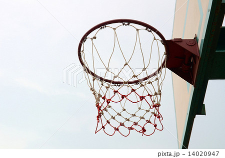 Basketball Hoop and Net 14020947
