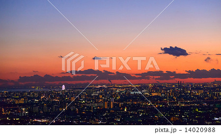 東京の夕景 東京の夕景 14020988