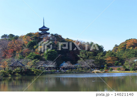 横浜　三溪園の紅葉 14021140
