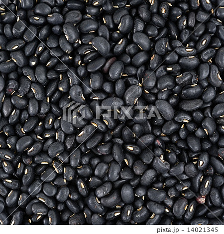 Black Bean 14021345
