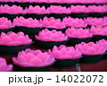 Chinese New Year 14022072