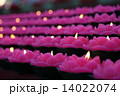 Chinese New Year 14022074