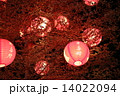 Chinese New Year 14022094