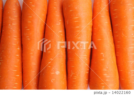 Carrot Carrot 14022160