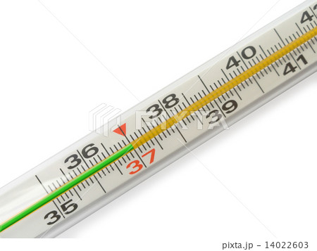 Scale of Thermometer - 37 14022603