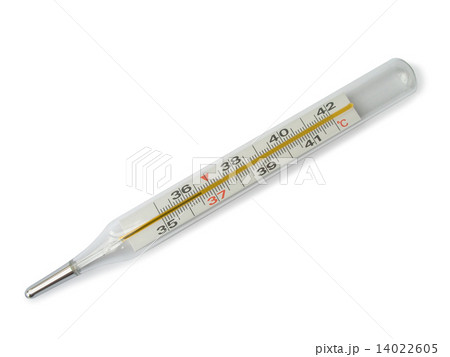 Thermometer 36,6 14022605