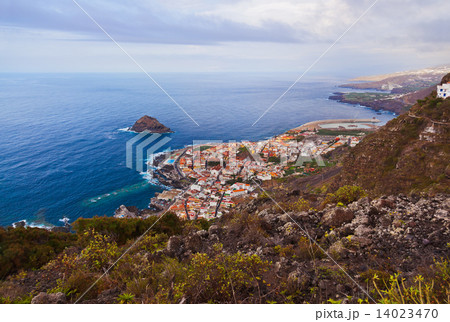 Garachico in Tenerife island - Canary 14023470