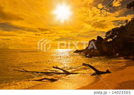 Seychelles tropical beach at sunset Seychelles tropical beach at sunset 14023503